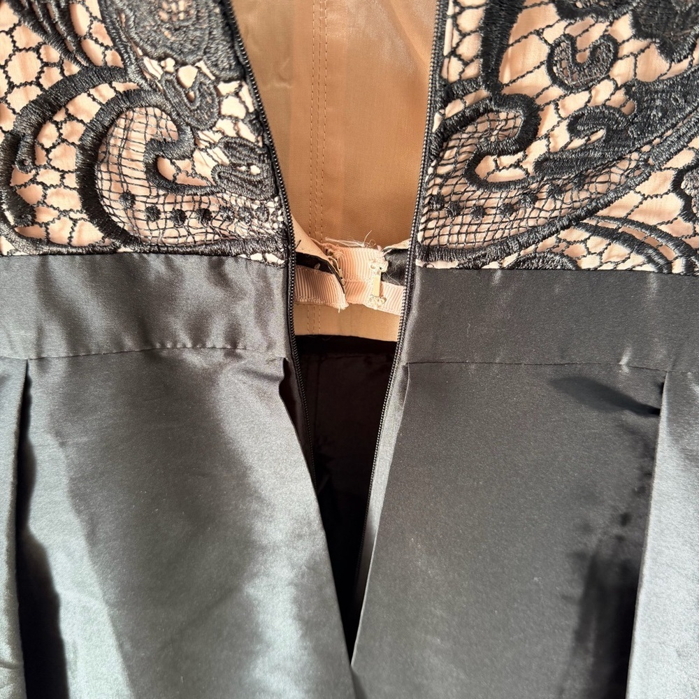 Adrianna Papell Black Strapless Lace Dress - Picture 8 of 15